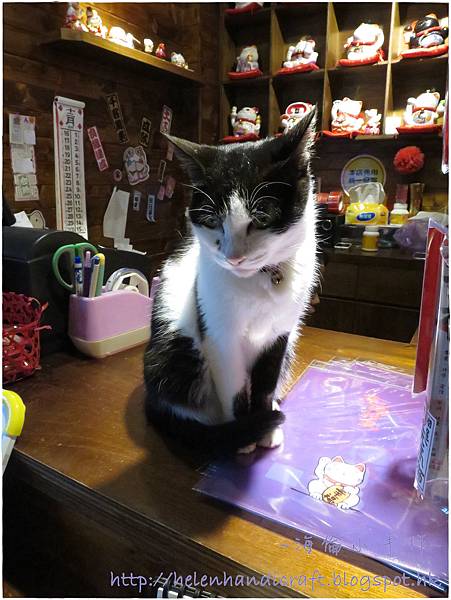 IMG_5465.JPG IMG_5465.JPG