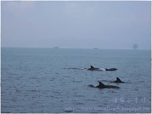 IMG_7127.JPG IMG_7127.JPG