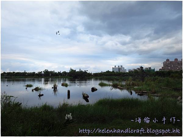 IMG_7454.JPG IMG_7454.JPG