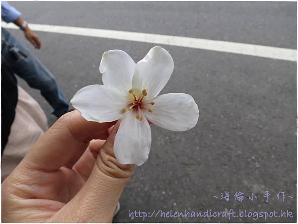 IMG_7261.JPG IMG_7261.JPG