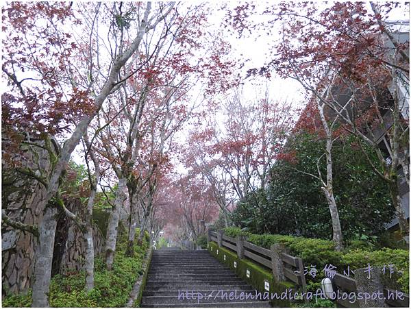 IMG_7305.JPG IMG_7305.JPG