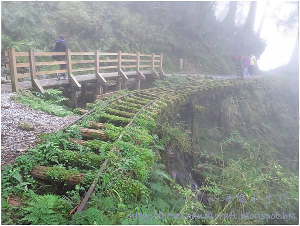 IMG_7410.JPG IMG_7410.JPG