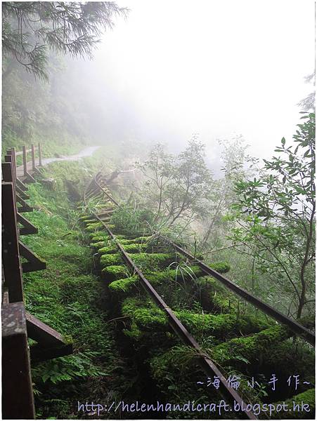 IMG_7424.JPG IMG_7424.JPG