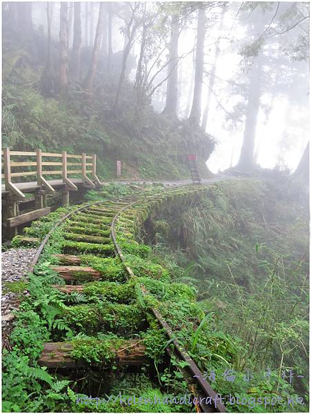 IMG_7438.JPG IMG_7438.JPG