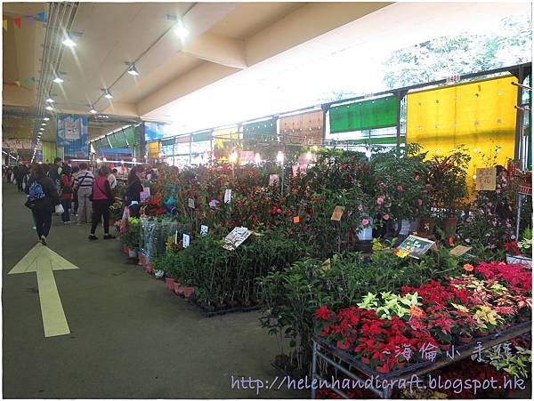 台北花市 台北花市