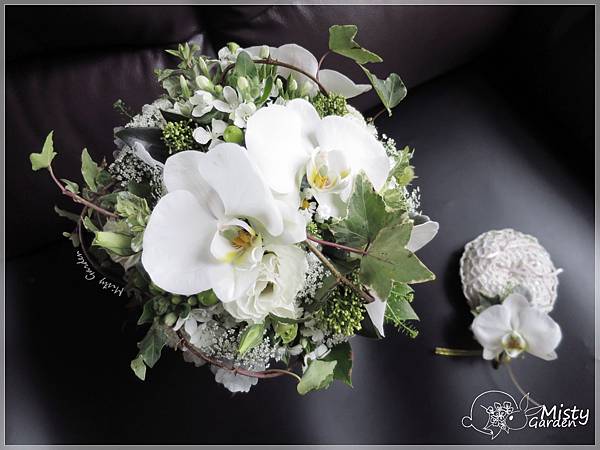 優雅蝴蝶蘭花球 優雅蝴蝶蘭花球