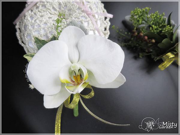 蝴蝶蘭新郎襟花 蝴蝶蘭新郎襟花