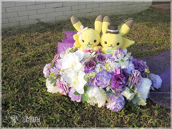 蝴蝶蘭車花 蝴蝶蘭車花