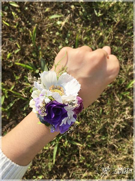 活潑波斯菊姐妹手花 活潑波斯菊姐妹手花