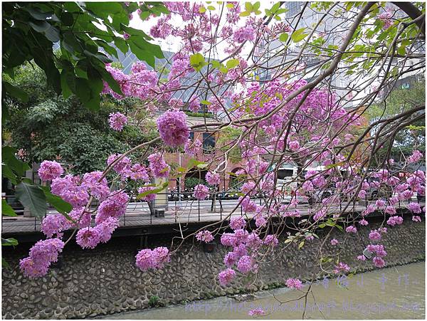 IMG_1788.JPG IMG_1788.JPG