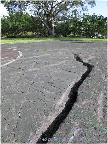 IMG_4653.JPG IMG_4653.JPG