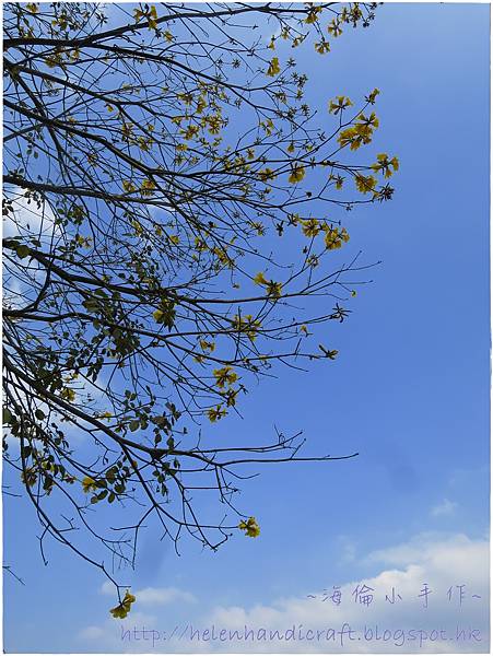 IMG_6762.JPG IMG_6762.JPG