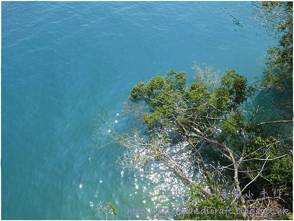 IMG_6745.JPG IMG_6745.JPG