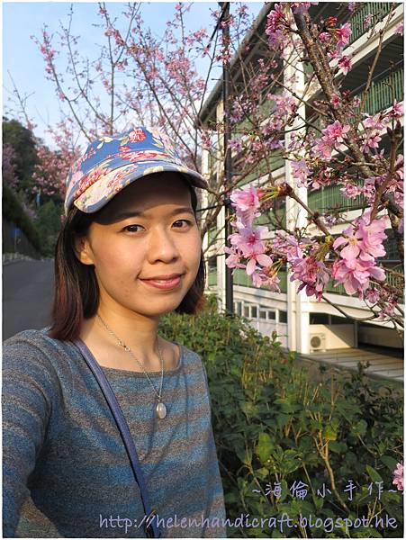 IMG_6820.JPG IMG_6820.JPG