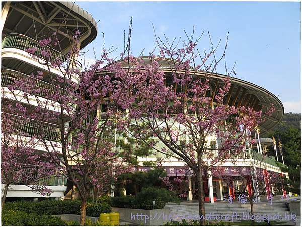 IMG_6818.JPG IMG_6818.JPG