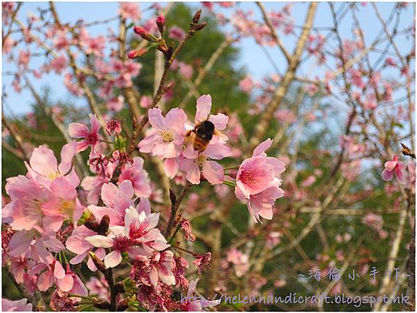 IMG_6835.JPG IMG_6835.JPG