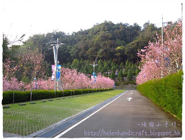 IMG_6829.JPG IMG_6829.JPG