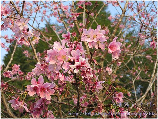 IMG_6836.JPG IMG_6836.JPG