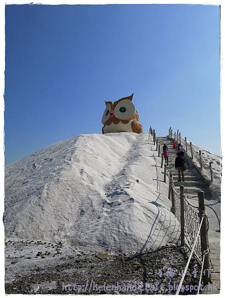 七股鹽山貓頭鷹 七股鹽山貓頭鷹