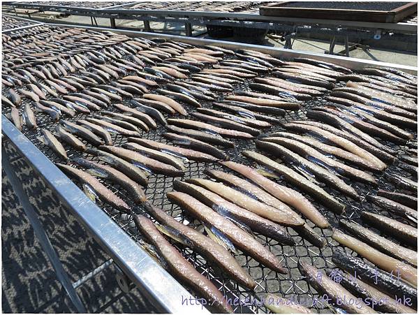 青鯤鯓漁港 青鯤鯓漁港