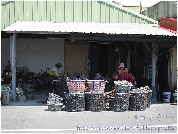 青鯤鯓漁港開鮮蚵 青鯤鯓漁港開鮮蚵