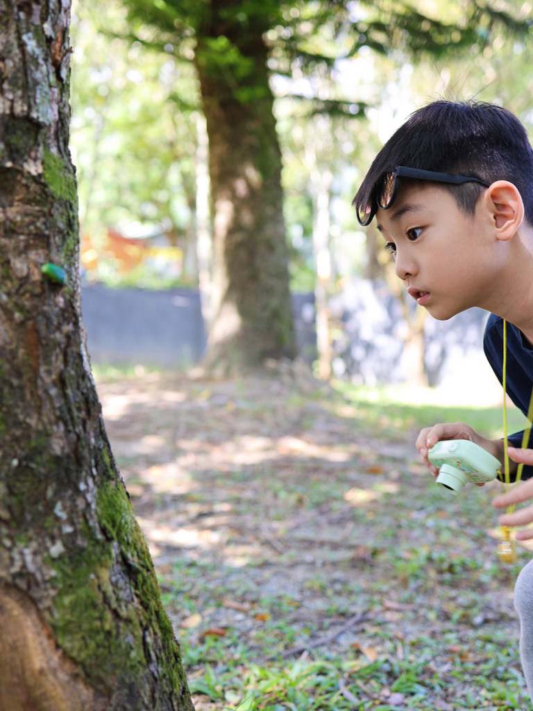 【南投住宿】來自森林的呼喊，親子旅遊遠離3C『和社山林』一泊