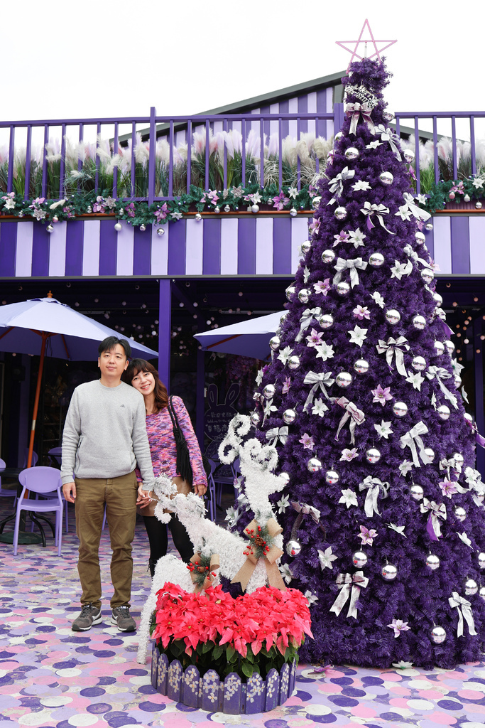 【苗栗景點】西湖景點，紫色花海！網美拍照景點『噢哈娜咖啡屋』