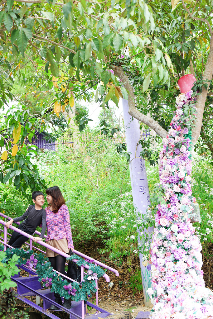 【苗栗景點】西湖景點，紫色花海！網美拍照景點『噢哈娜咖啡屋』