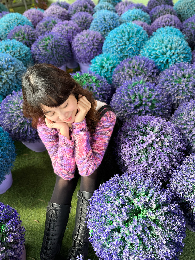 【苗栗景點】西湖景點，紫色花海！網美拍照景點『噢哈娜咖啡屋』