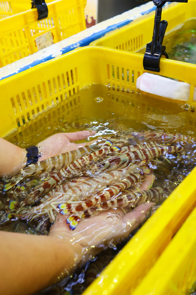 全台最大最超值活體冰鮮海鮮賣場，台中最大水產超市 『阿布潘水