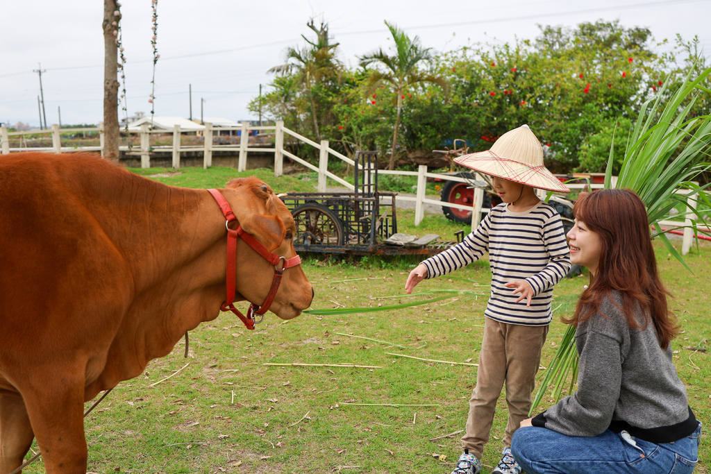 【宜蘭景點】壯圍鄉農家親子體驗，『牛頭司耕牛小學堂』