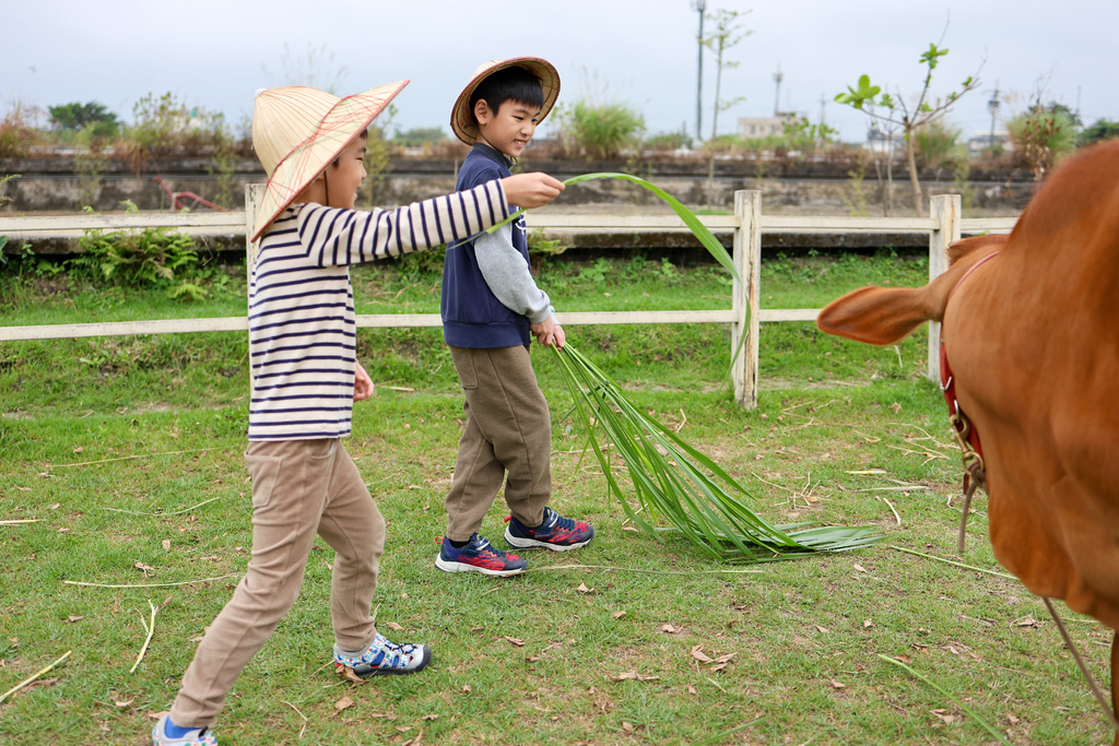 【宜蘭景點】壯圍鄉農家親子體驗，『牛頭司耕牛小學堂』