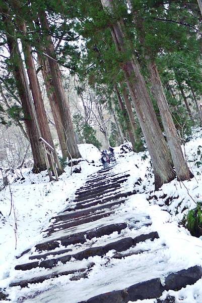 下山像溜冰~