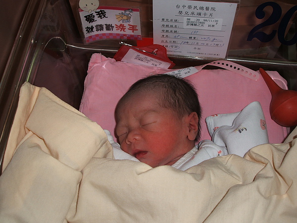 珠晳剛出生第一天