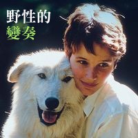 野性的變奏
