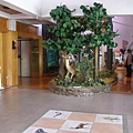 綠島旅遊服務中心內部
