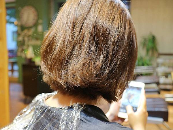 IMG_1012 IMG_1012