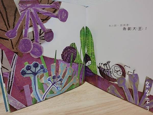 CIMG0030.JPG CIMG0030.JPG