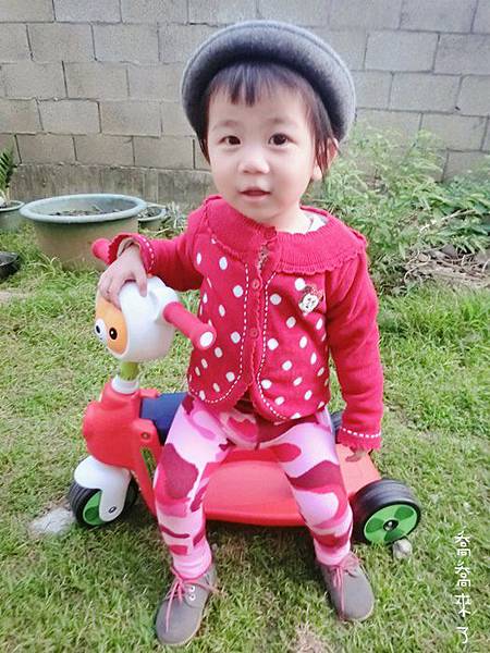 CIMG0325.JPG CIMG0325.JPG