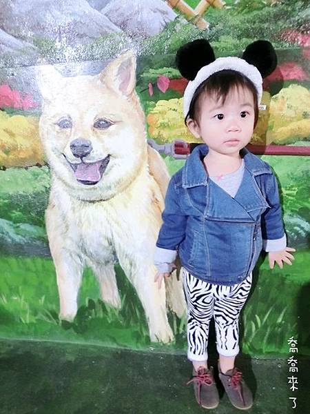 CIMG0053.JPG CIMG0053.JPG