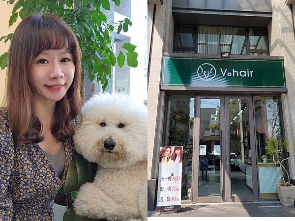 台中西屯VS HAIR髮型推薦。可嚕水豚/貓咪/狗狗。全新擴 台中西屯VS HAIR髮型推薦。可嚕水豚/貓咪/狗狗。全新擴