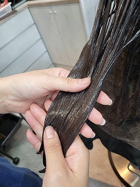 台中西屯VS HAIR髮型推薦。可嚕水豚/貓咪/狗狗。全新擴 台中西屯VS HAIR髮型推薦。可嚕水豚/貓咪/狗狗。全新擴