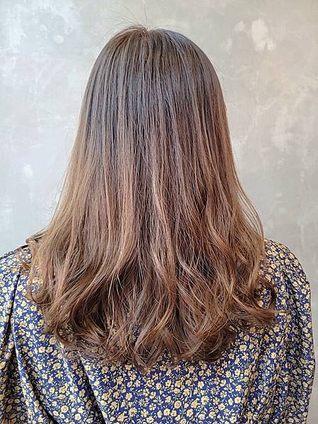 台中西屯VS HAIR髮型推薦。可嚕水豚/貓咪/狗狗。全新擴 台中西屯VS HAIR髮型推薦。可嚕水豚/貓咪/狗狗。全新擴