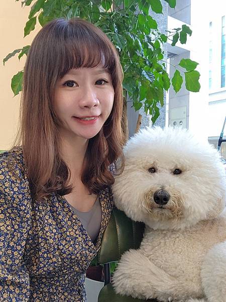 台中西屯VS HAIR髮型推薦。可嚕水豚/貓咪/狗狗。全新擴 台中西屯VS HAIR髮型推薦。可嚕水豚/貓咪/狗狗。全新擴