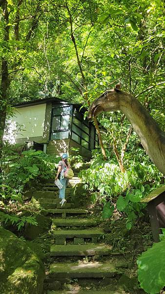 【台北親子飯店推薦】大板根森林溫泉飯店。進入恐龍世界侏羅記森