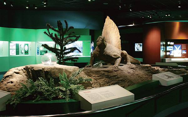 【大地瑰寶】台中科博館最新開幕的長設展廳。6歲以下免費。全台
