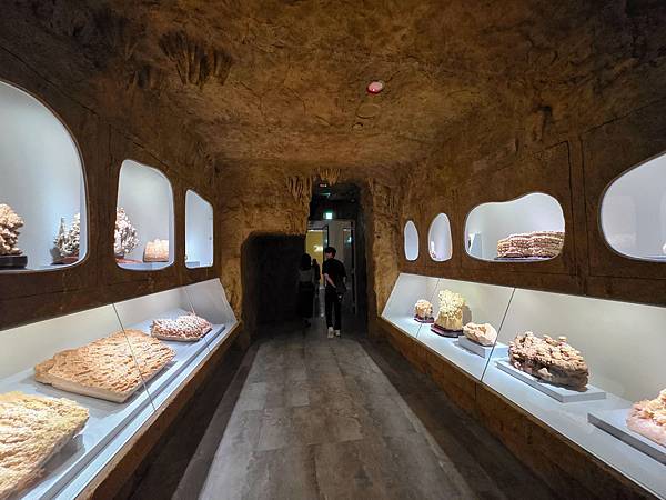 【大地瑰寶】台中科博館最新開幕的長設展廳。6歲以下免費。全台