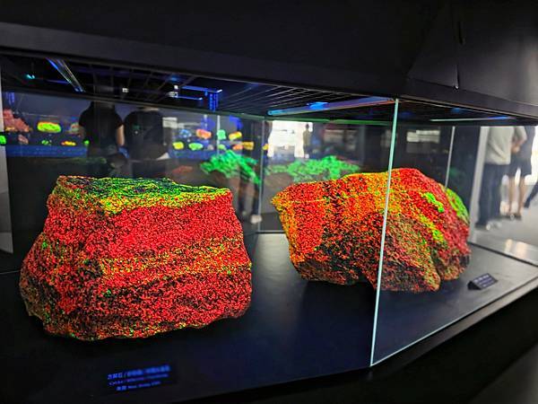 【大地瑰寶】台中科博館最新開幕的長設展廳。6歲以下免費。全台