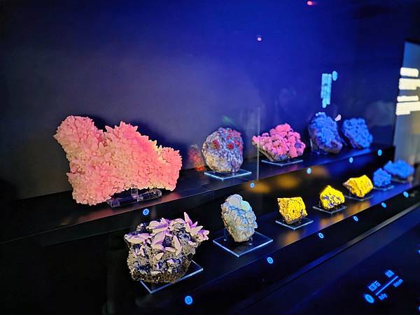 【大地瑰寶】台中科博館最新開幕的長設展廳。6歲以下免費。全台