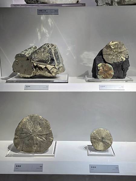 【大地瑰寶】台中科博館最新開幕的長設展廳。6歲以下免費。全台